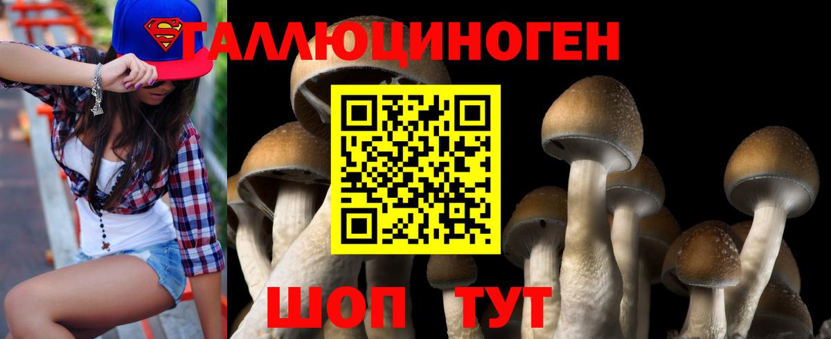 Псилоцибиновые грибы мухоморы  Вход с VPN  Псилоцибиновые грибы Cubensis  Ликино-Дулёво 
